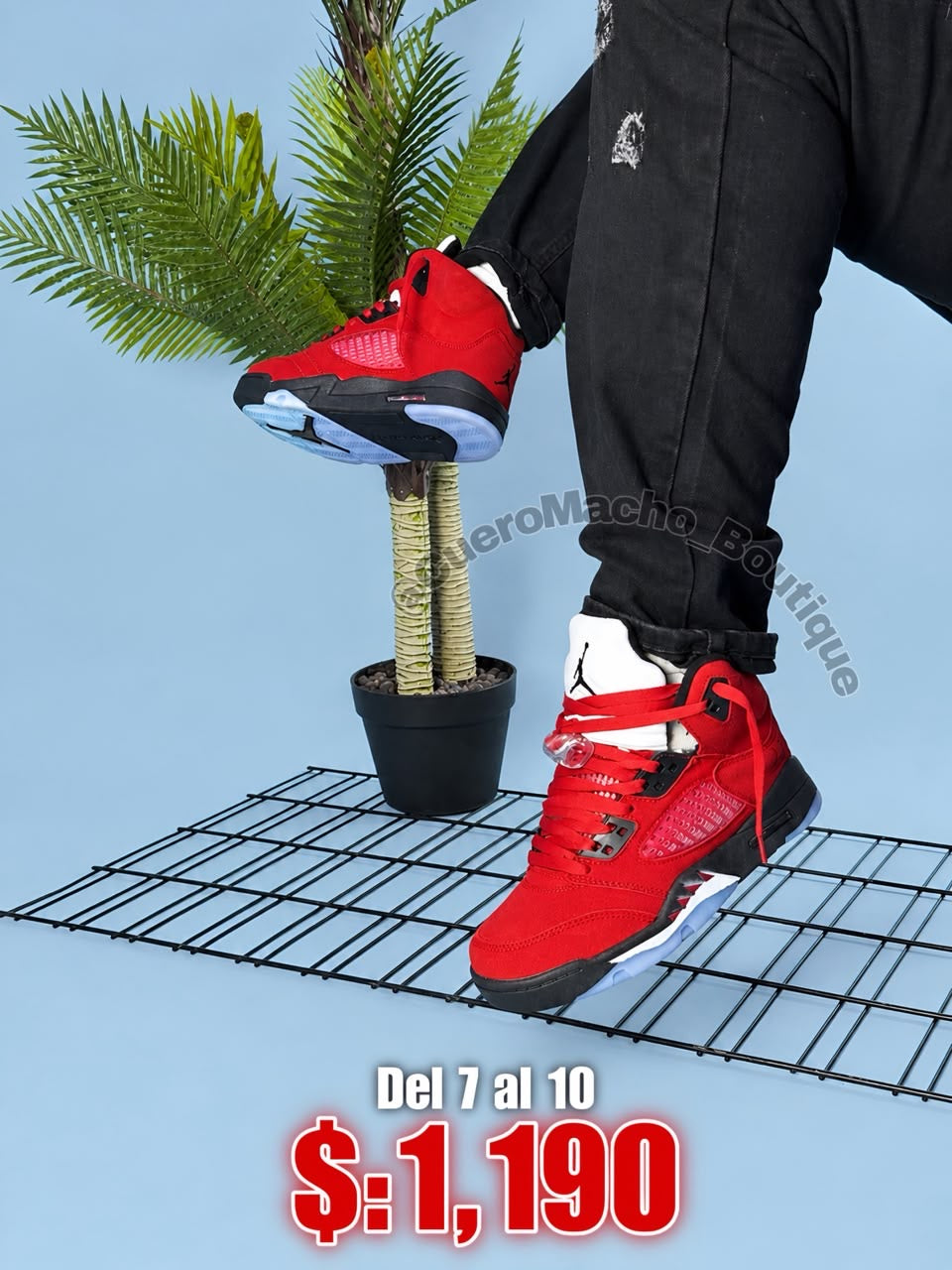 Jordan 5 oferta