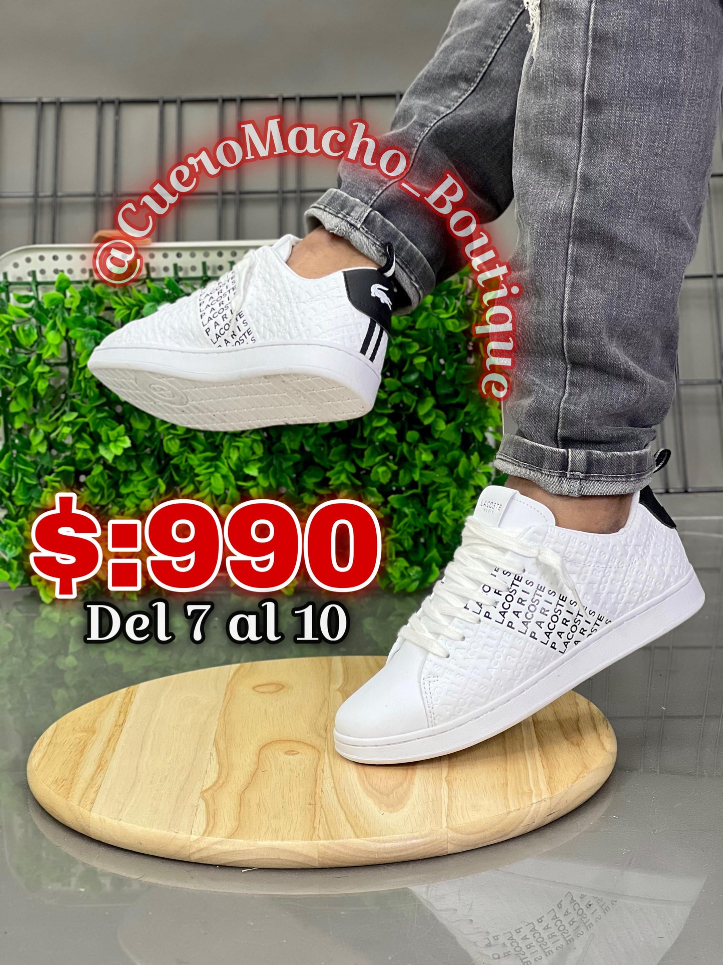 Tenis Lacoste🦎