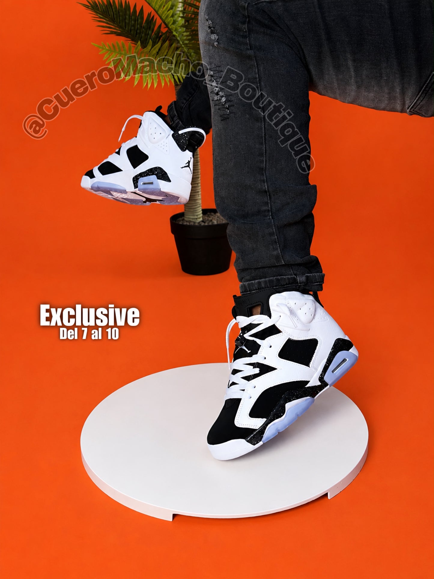 Jordan 6