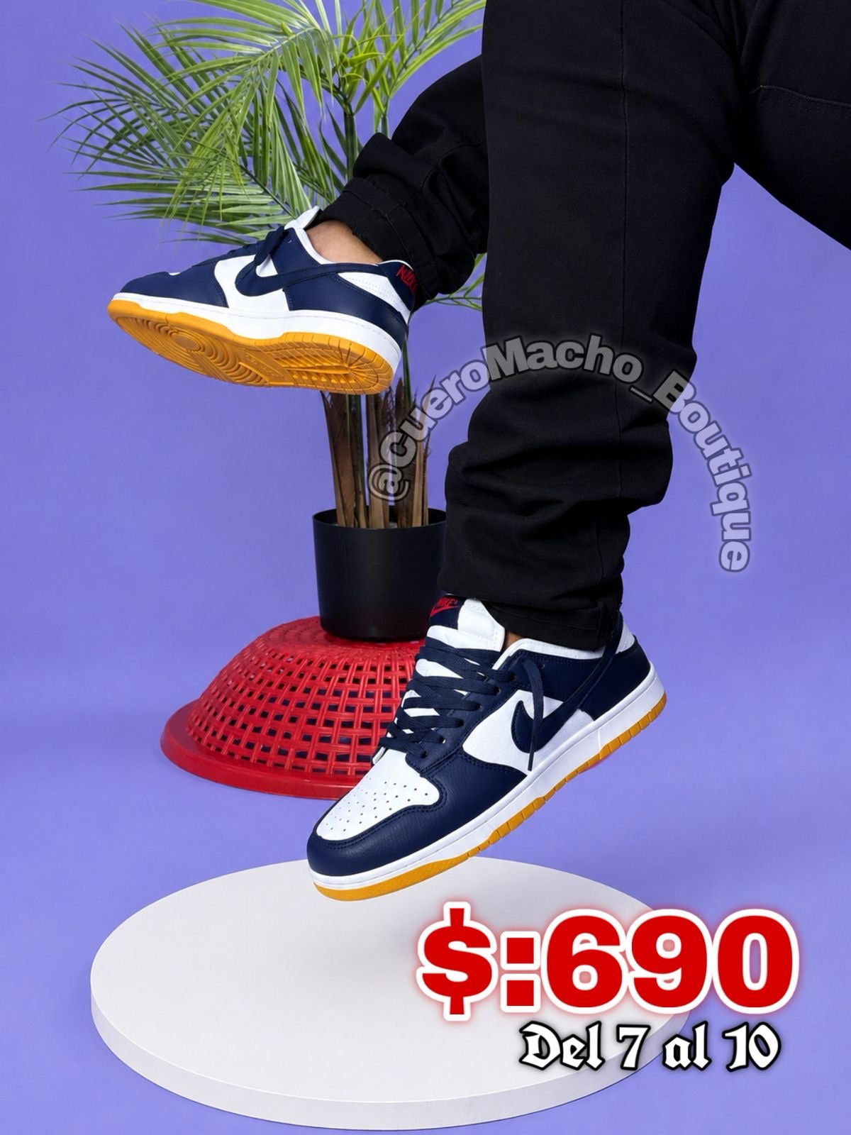 Nike dunk ofertas $:690