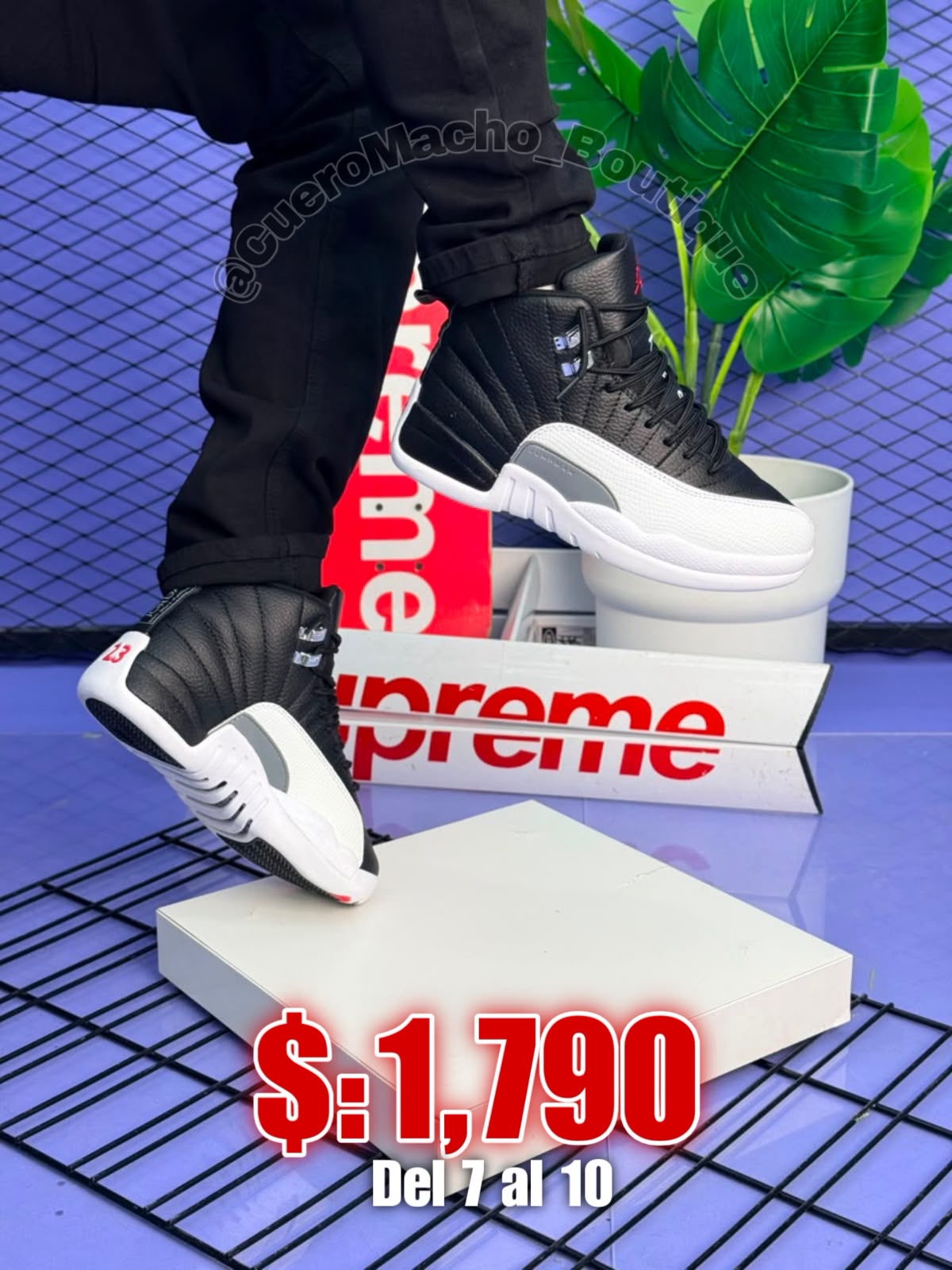 Jordan 12 Retro