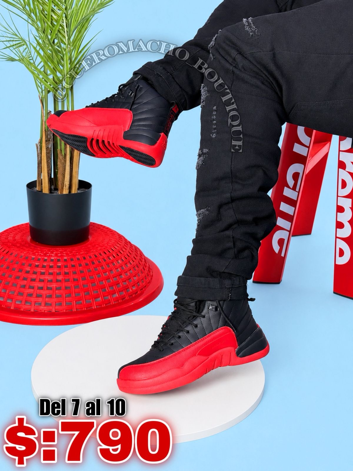 Jordan 12 oferta $:790