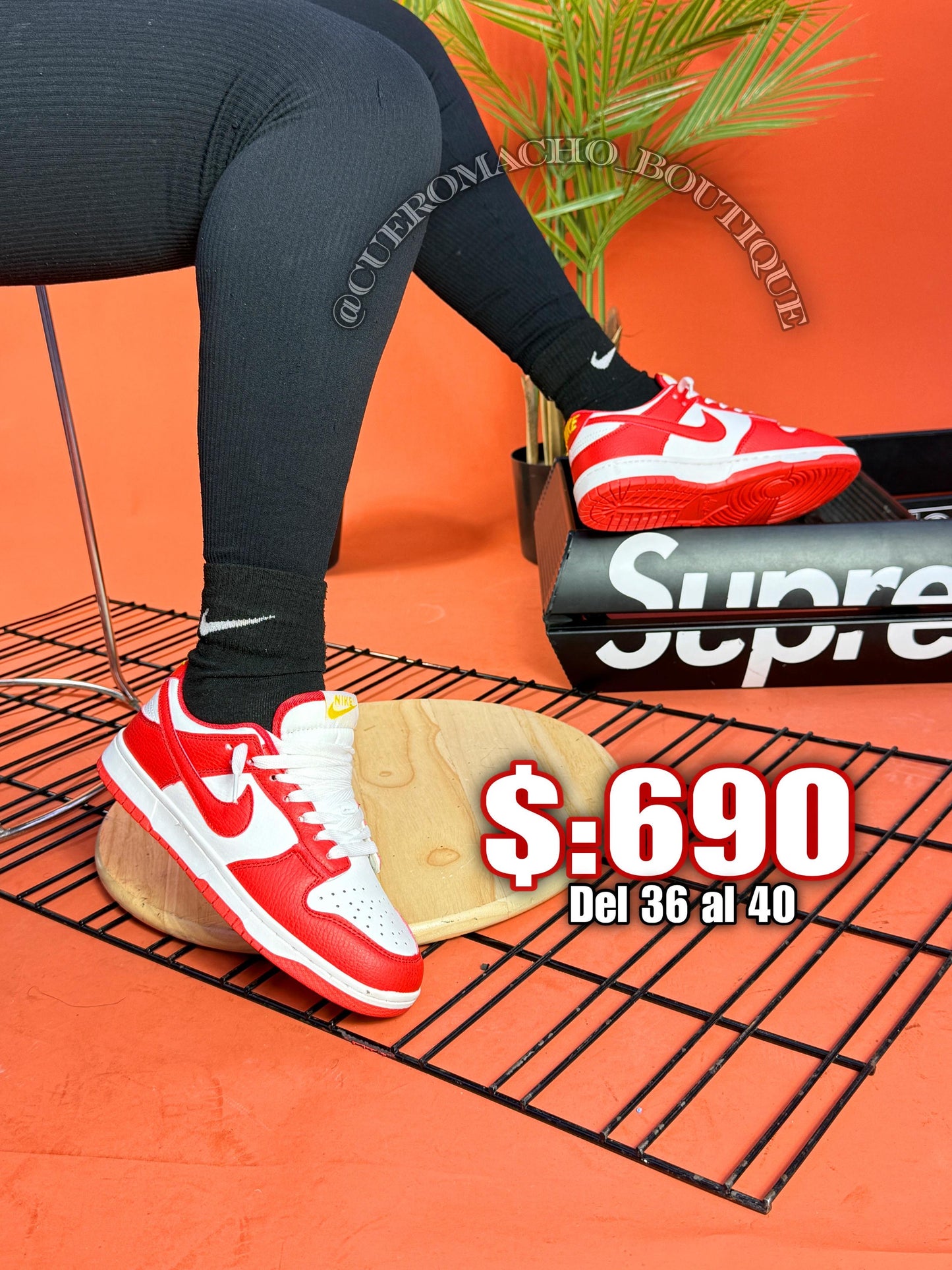 Jordan 1 bajito $:690