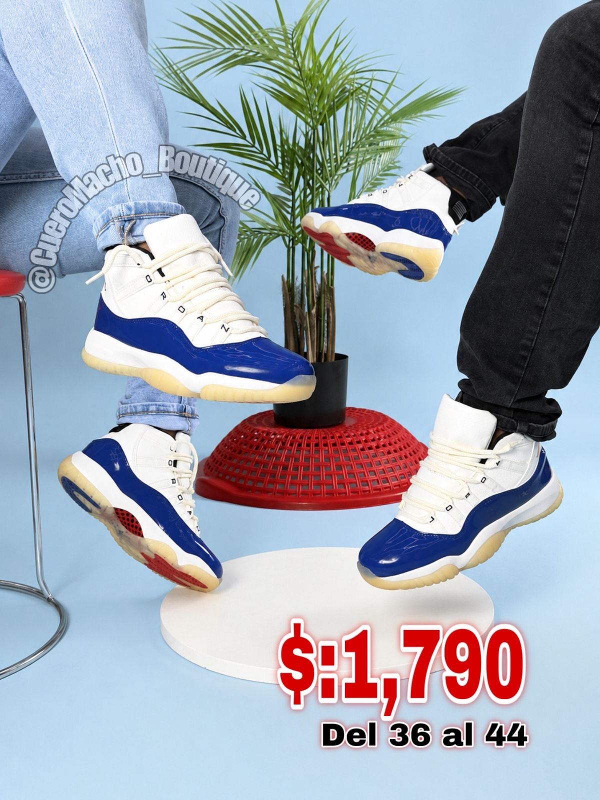 Jordan 11 Exclusivo