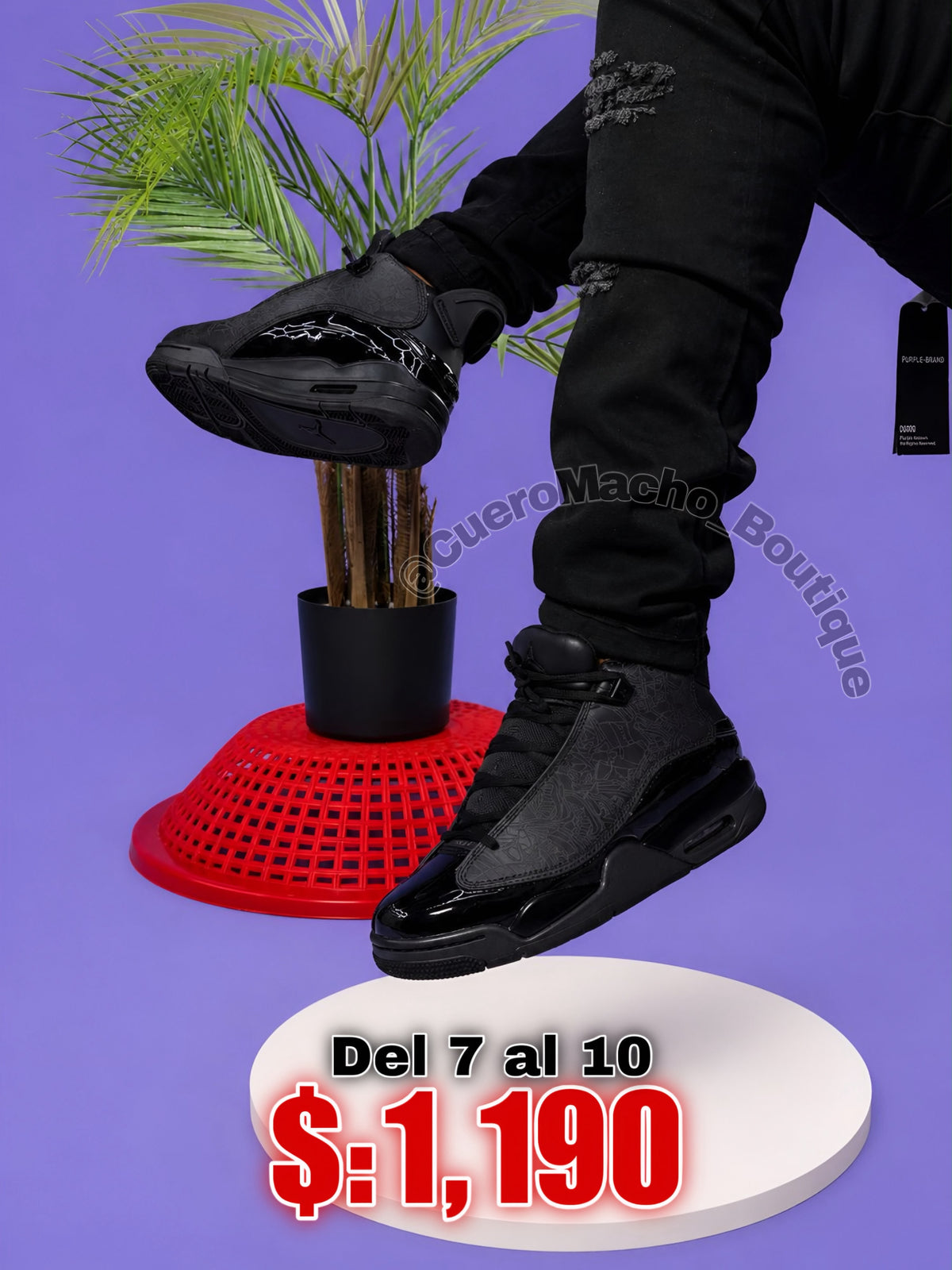 Jordan 0 oferta $:1,190