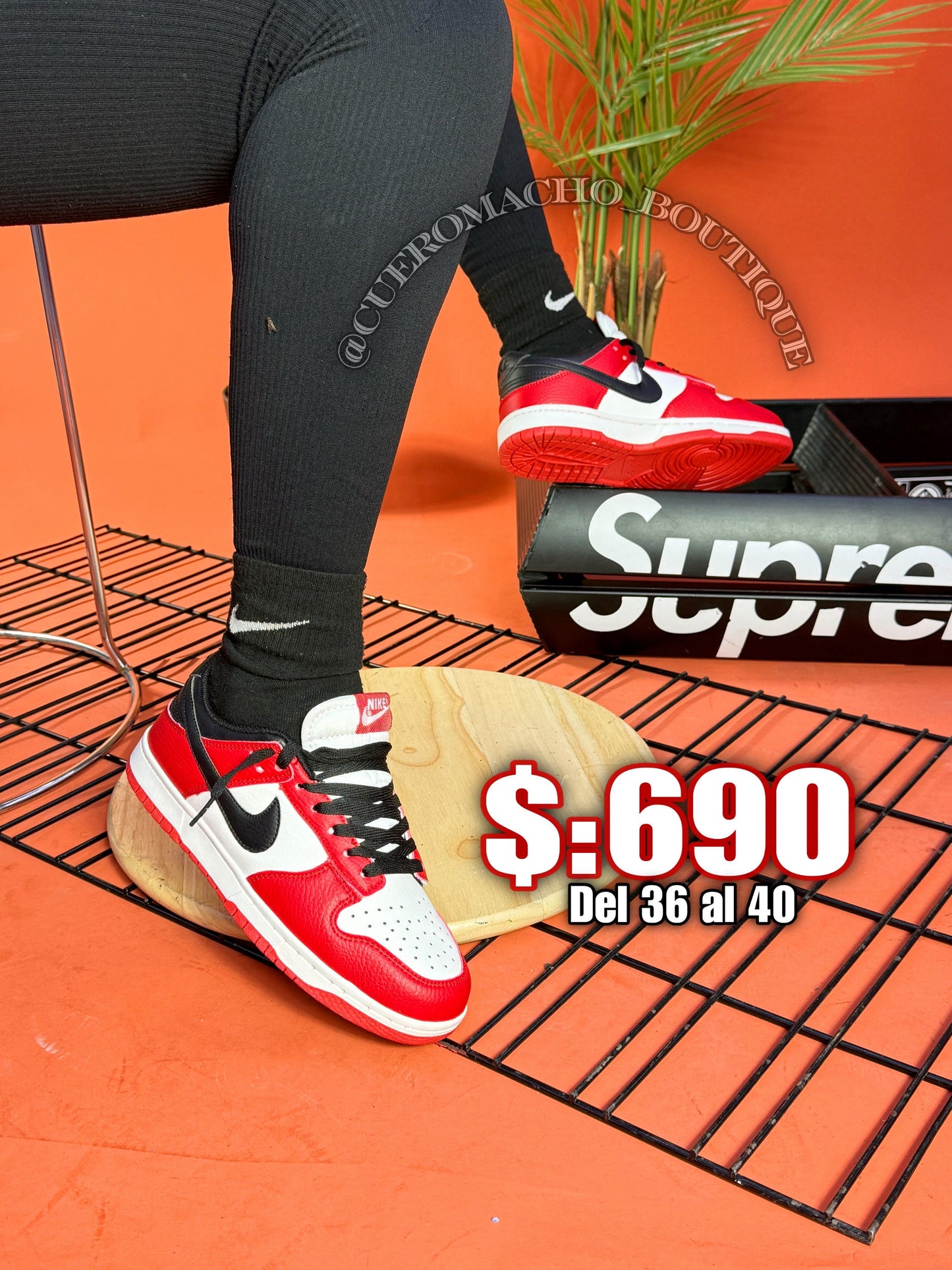 Jordan 1 bajito $:690