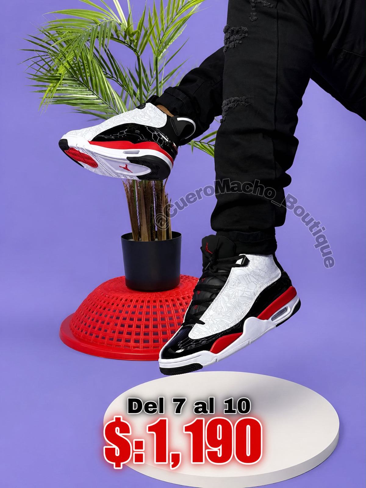 Jordan 0 oferta $:1,190
